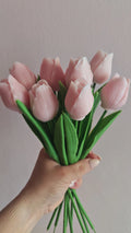 Tulip