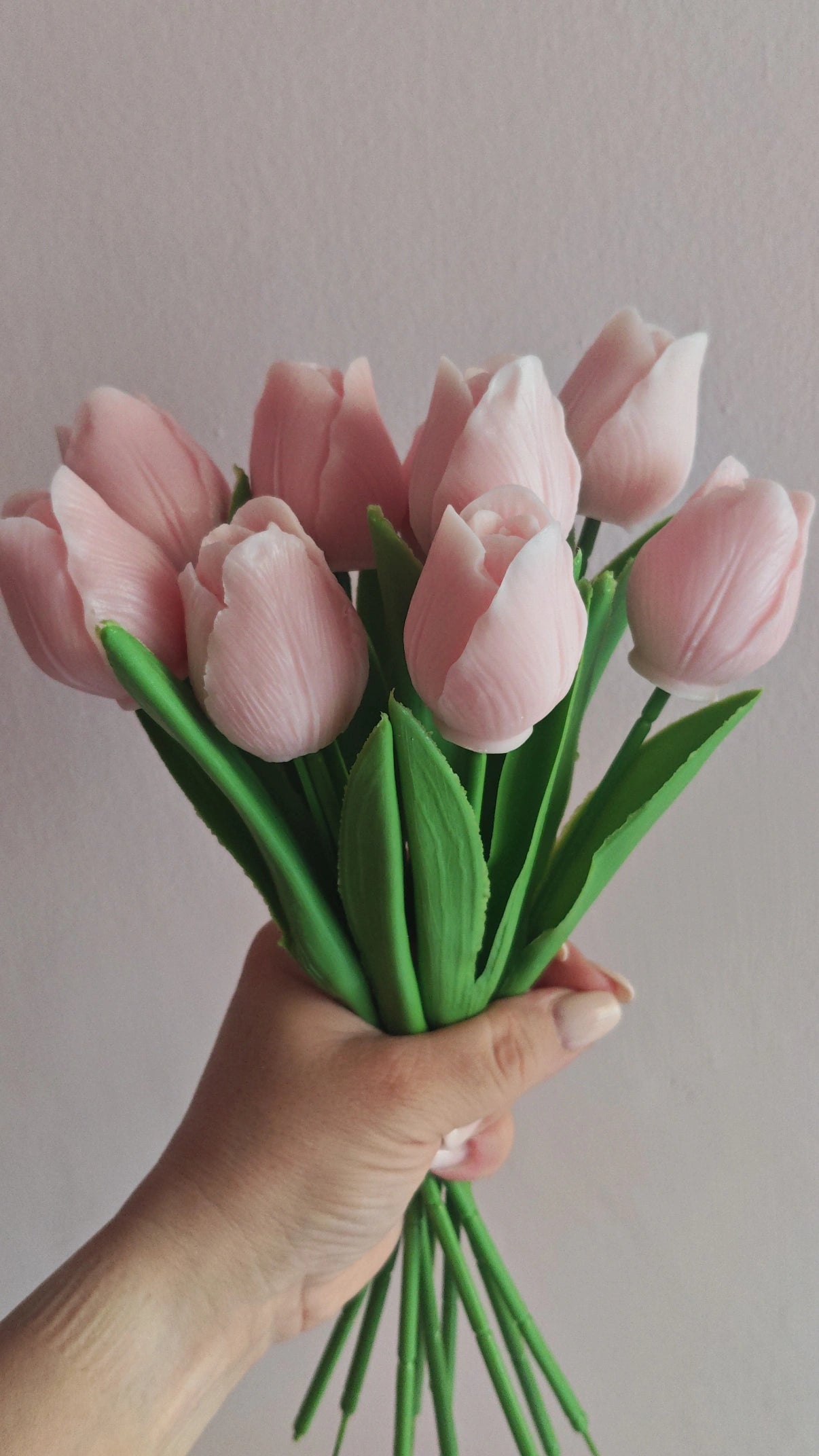 Tulip